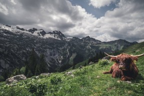 华体会hth-拜仁对阵韩国，当足球DNA双螺旋在布鲁诺的高能输出中完美配对