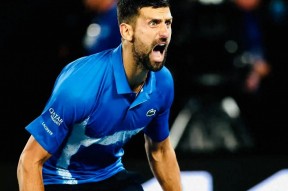 华体会下载-澳网绝杀联合杯，德约科维奇高光表现