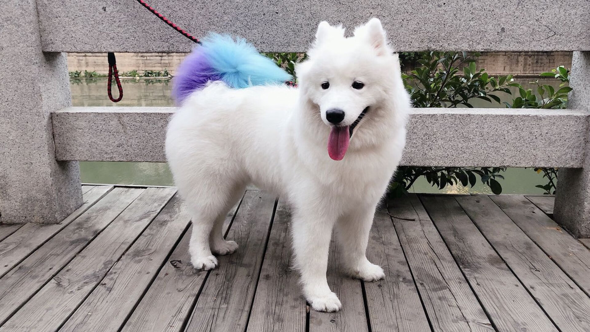 华体会app-跨越联赛的传奇，马竞坚韧突围罗马，阿圭罗德甲争冠战主宰乾坤  第1张